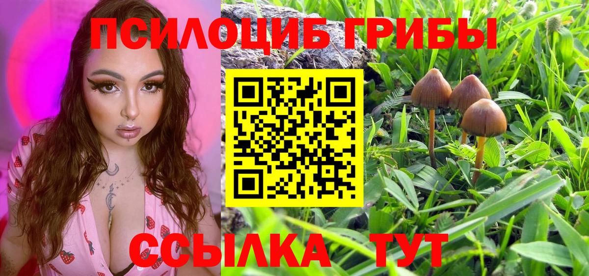 Кропоткин  Псилоцибиновые грибы Magic Shrooms  Псилоцибиновые грибы ЛСД  Вход с VPN 